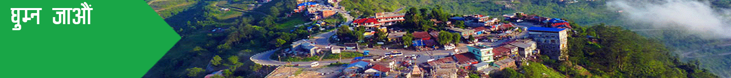 vedetar