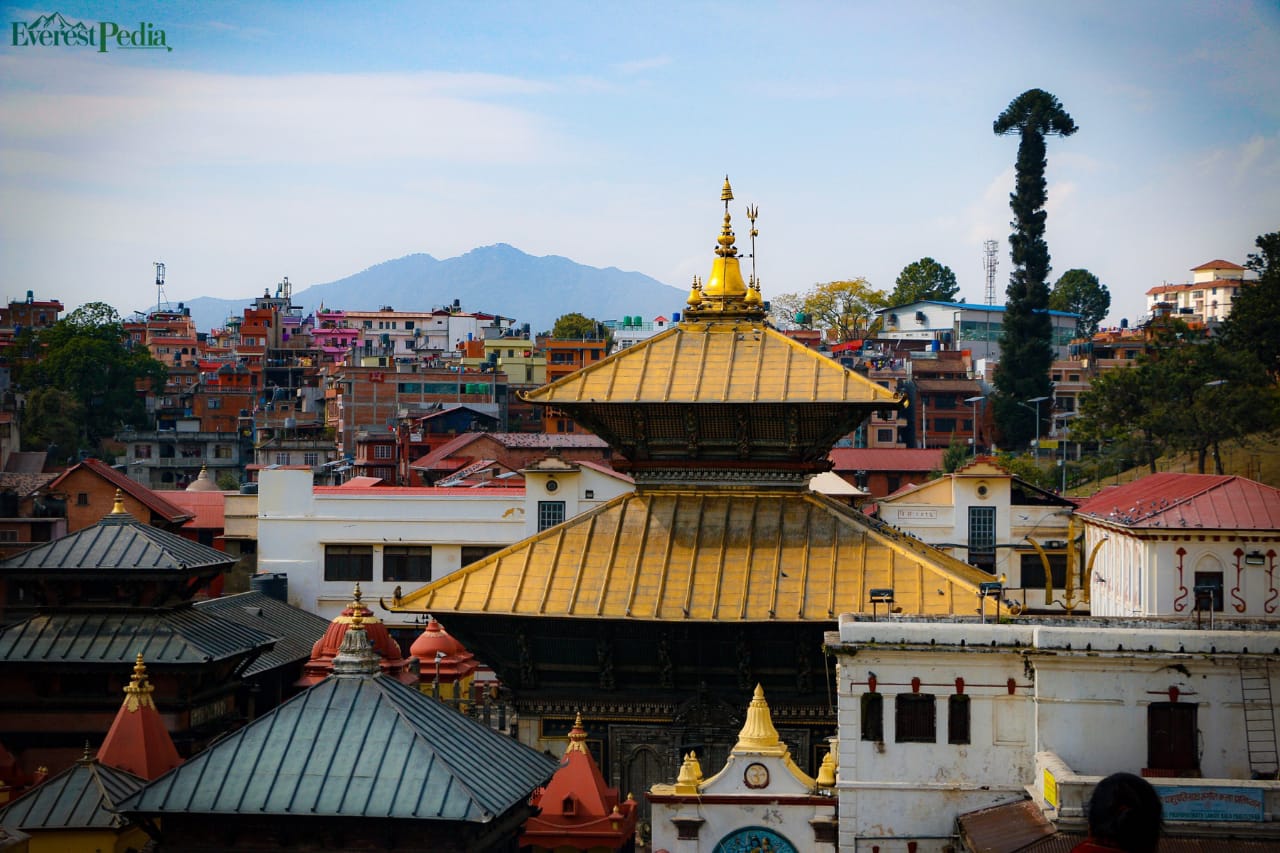 वत्सलेश्वरी जात्रामा पशुपतिनाथ भण्डार तहविलबाट विचार पूजा