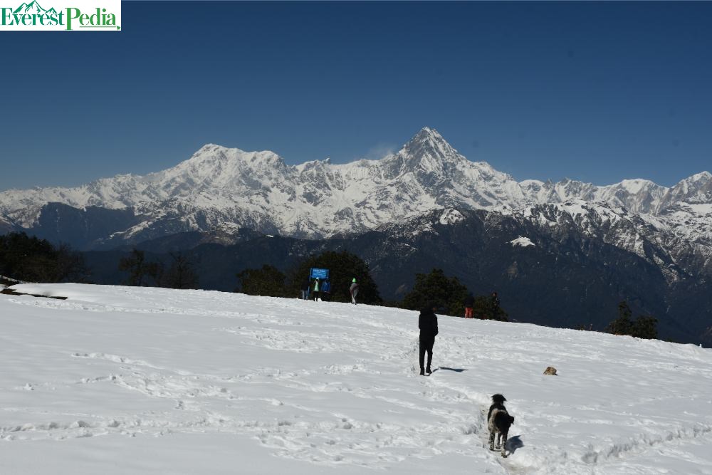 ताङतिङको शिरैमा क्रपुडाँडा (फोटो र भिडियो सहित)