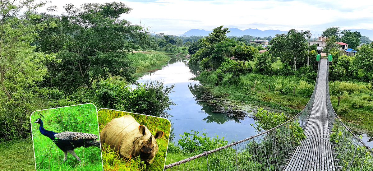 मनसुनमा खुलेको सौराहा (तस्बिरहरू)