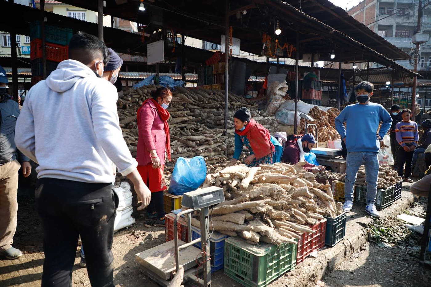 माघे संक्रान्ति नजिकिएसँगै बजारमा तरुल