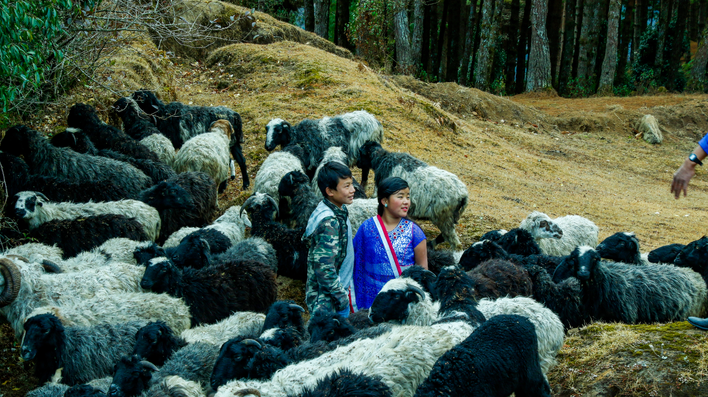 पदयात्रीलाई नयाँ उपहार :‘हुँगा भ्याली मेरा एभरेस्ट ट्रेल’ 