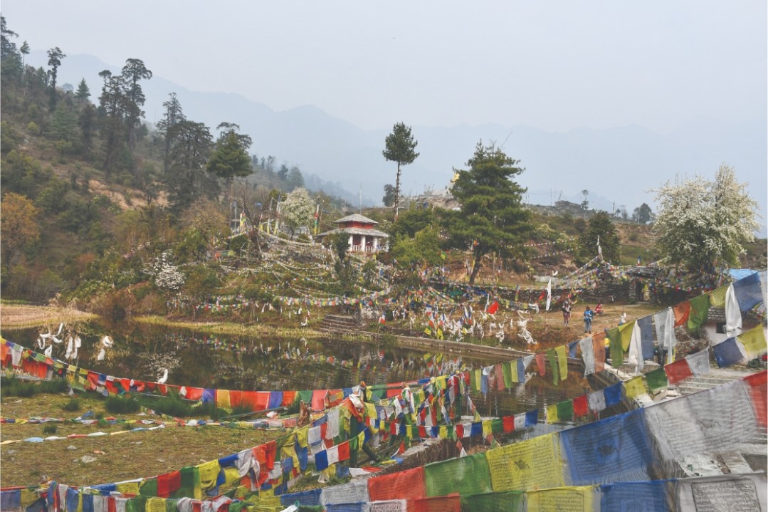 गतलाङमा ‘याक तथा चौंरी महोत्सव’ गरिने 