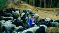 पदयात्रीलाई नयाँ उपहार :‘हुँगा भ्याली मेरा एभरेस्ट ट्रेल’ 
