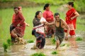 धान दिवसमा रमाउँदै किसान (तस्बिरहरू)