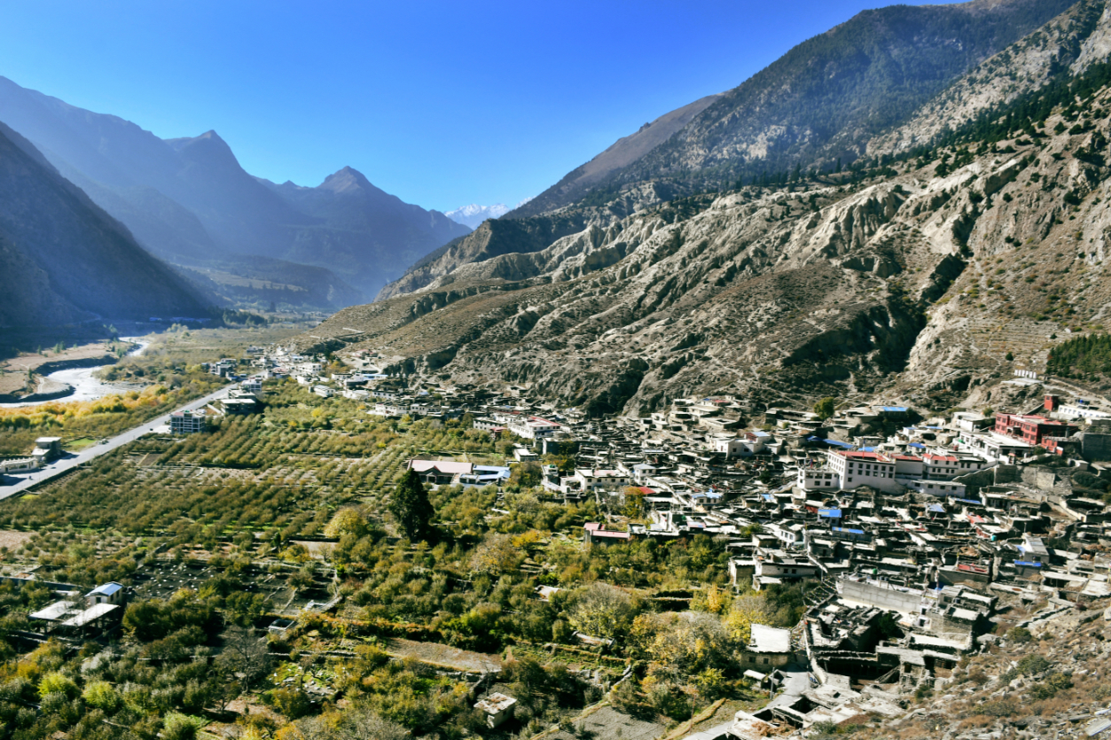2-Marpha-1786881322.jpg