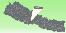 पाल्पामा उत्कृष्ट ३६ कृषक पुरस्कृत