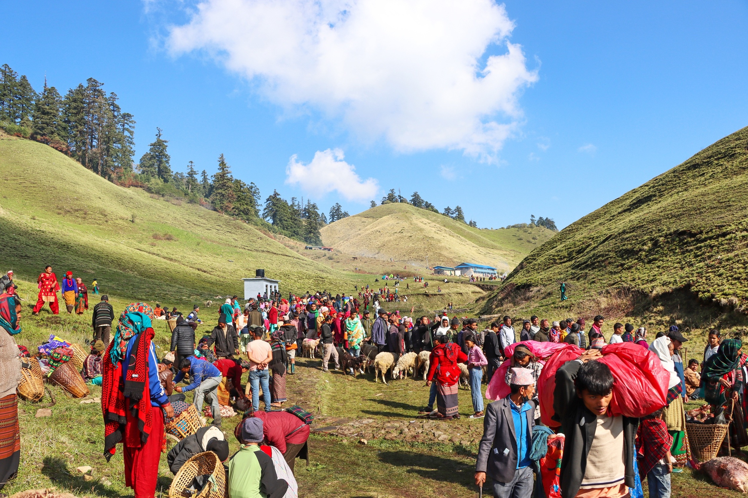 अतुलनीय रोल्पा (फोटो फिचर) 