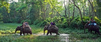 वर्षातसँगै निकुञ्जमा हुने पर्यटकीय गतिविधिमा रोक