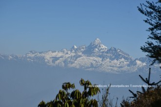हिमाल आरोहणमा एक जना ‘गाइड’ अनिवार्य