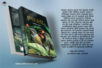 चराप्रेम बढाउने कथासङ्ग्रह ‘न्याउली’ 