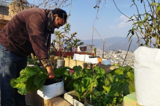 कौसी खेतीसँगै पाएको आत्मसन्तुष्टि