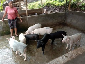 वैदेशिक रोजगारी रोक्ने स्वरोजगार, युवाहरू गाउँमै कमाउँदैछन् लाखौं