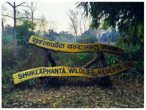 शुक्लाफाँटा क्षेत्रमा वन्यजन्तुको चोरी सिकार बढ्दै