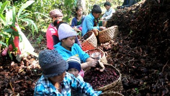 अलैँचीमा रहेका समस्या समाधानमा महासङ्घको प्रयास