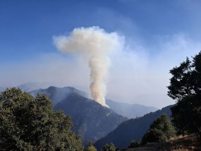 महाभारत सामुदायिक वनमा आगलागी, पर्यटकीय क्षेत्र जोखिममा