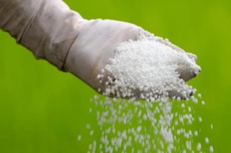 गण्डकीमा रासायनिक मल मौज्दात