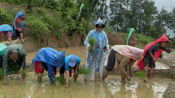 नुवाकोटमा ‘प्रकृतिप्रेमि समूह’को रोपाइँ हाइकिङ
