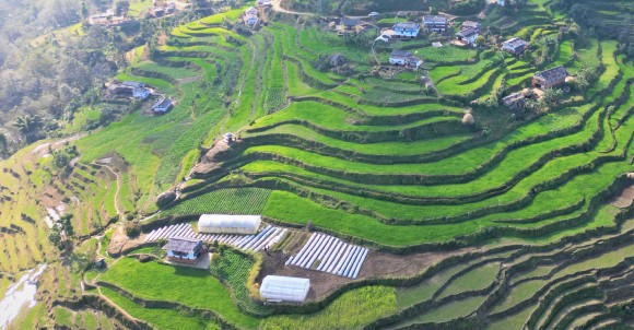 स्नातकोत्तरपछि कृषिकर्ममा जम्दै