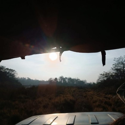 The Wonders of Terai