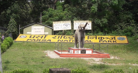 पर्यटक आकर्षणको केन्द्र बन्दै पर्सा राष्ट्रिय निकुञ्ज