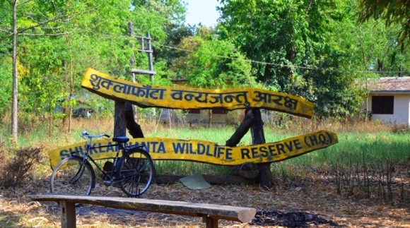 शुक्लाफाँटा राष्ट्रिय निकुञ्जमा ४ सय ५९ प्रजातिका चरा