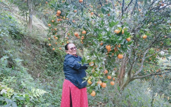 २९ वर्ष बालबालिकासँग, अहिले सुन्तलासँग रमाउँदै ‘तारा’