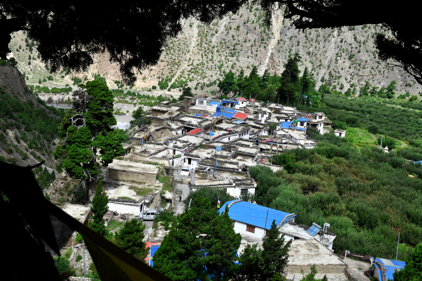 6-Chimang-1-1782959252.jpeg