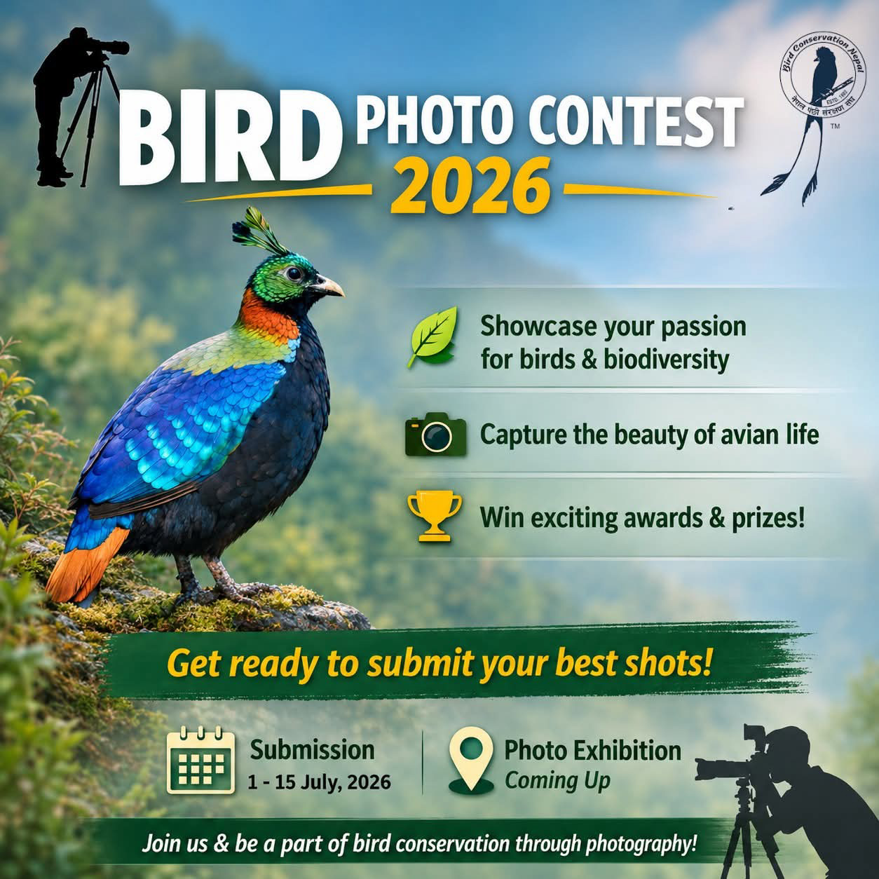 Bird-News-Photo--1784020430.jpg