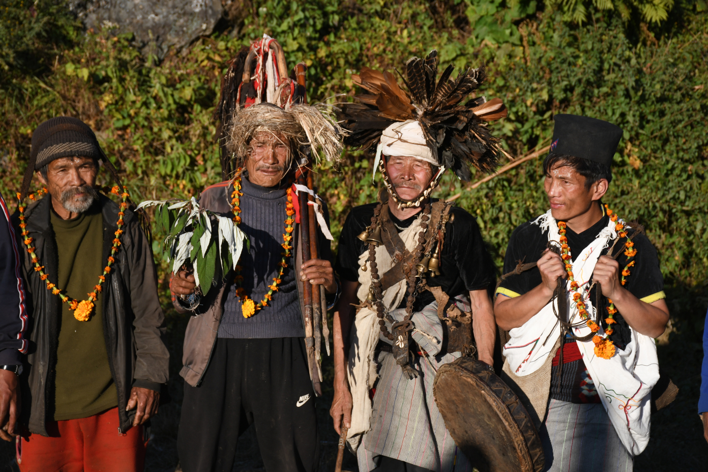 DSC_1459-1793358842.jpg