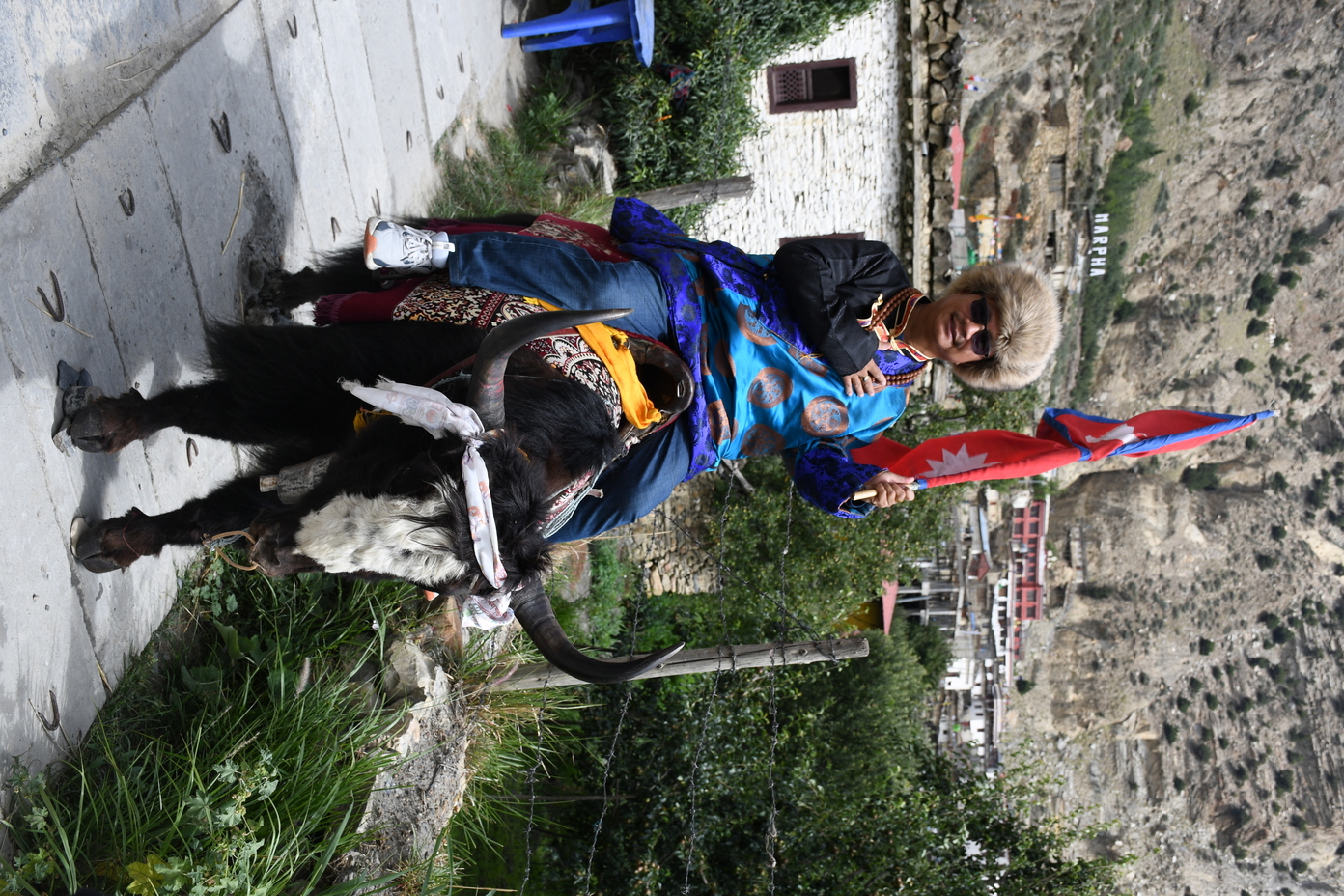 DSC_1808-1788578583.jpg