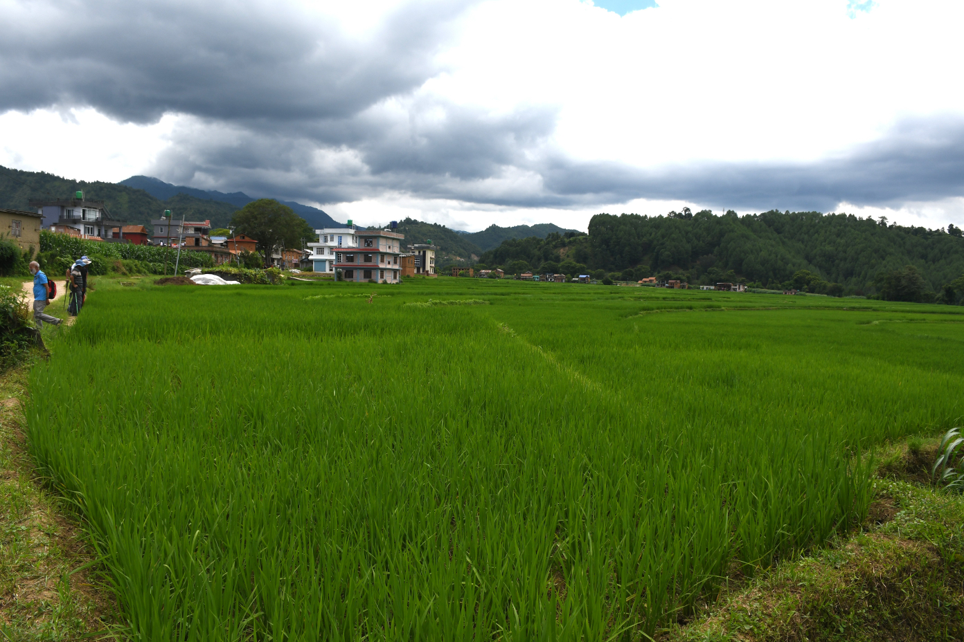 DSC_4023-1785056488.jpg