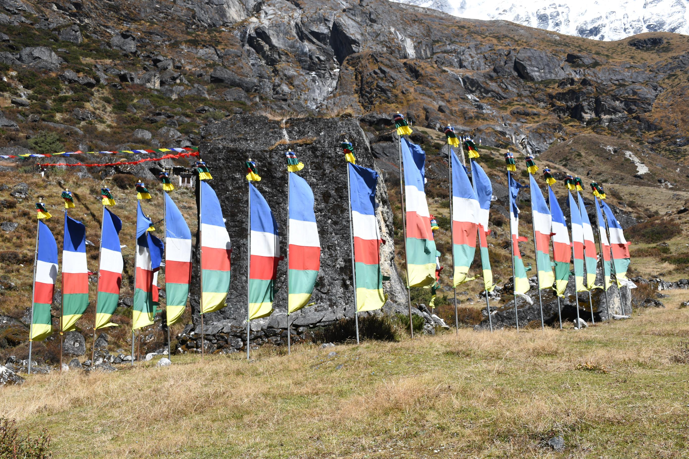 DSC_7294-1760523576.jpg