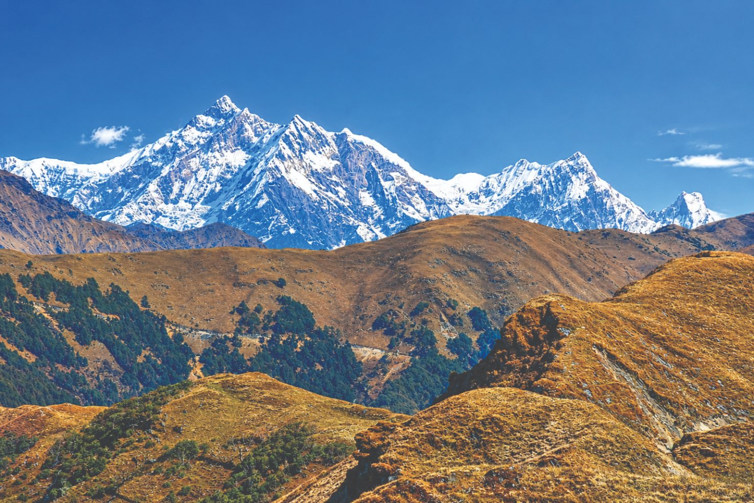 Majestic-Snow-Capped-Himalayan-Panorama-1793358407.jpg