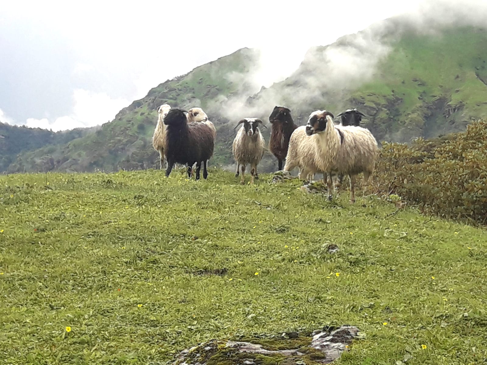 Mhemhe-pokhari-(1)-1755043980.jpeg