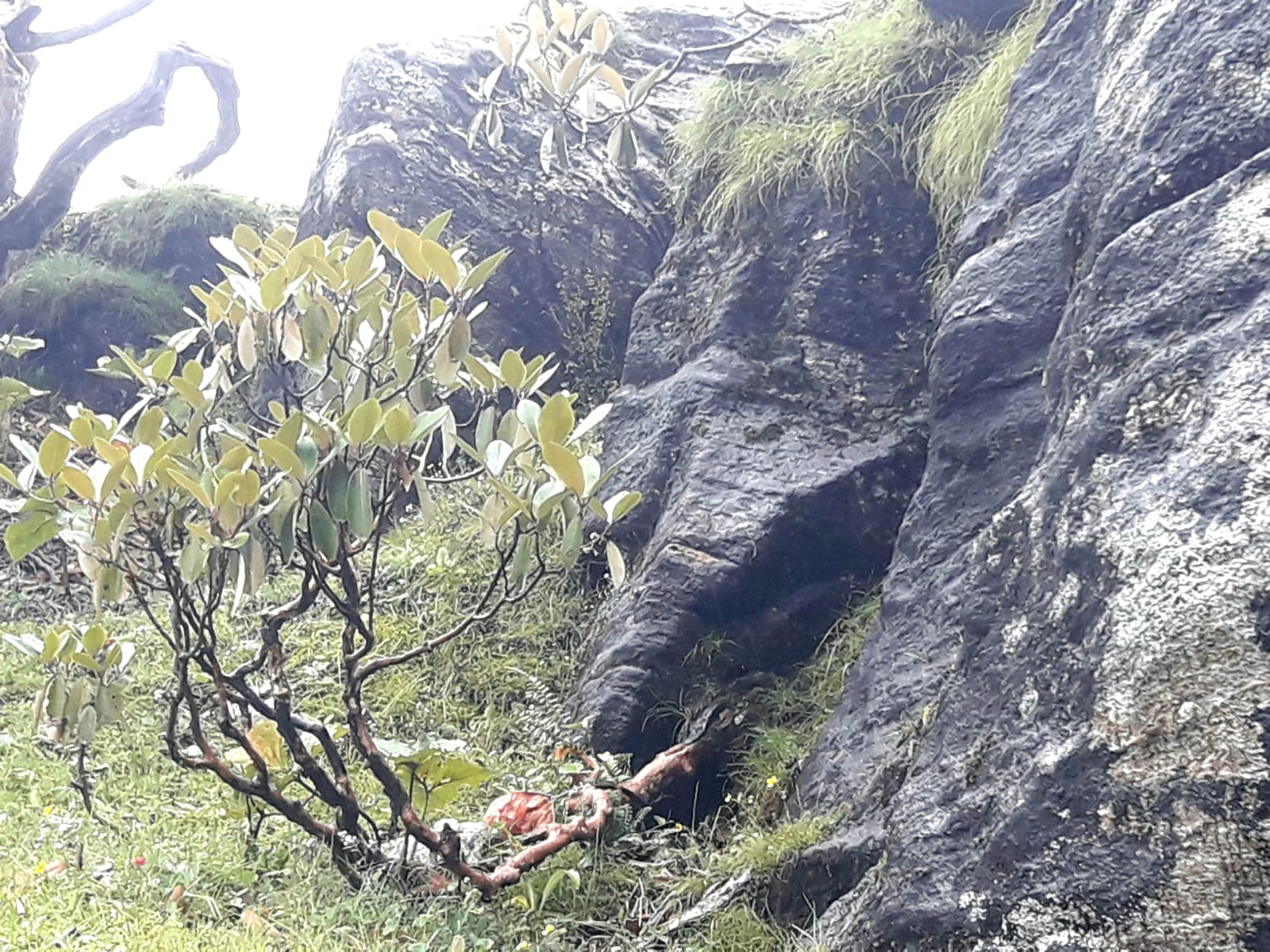 Mhemhe-pokhari-(20)-1755044059.jpeg
