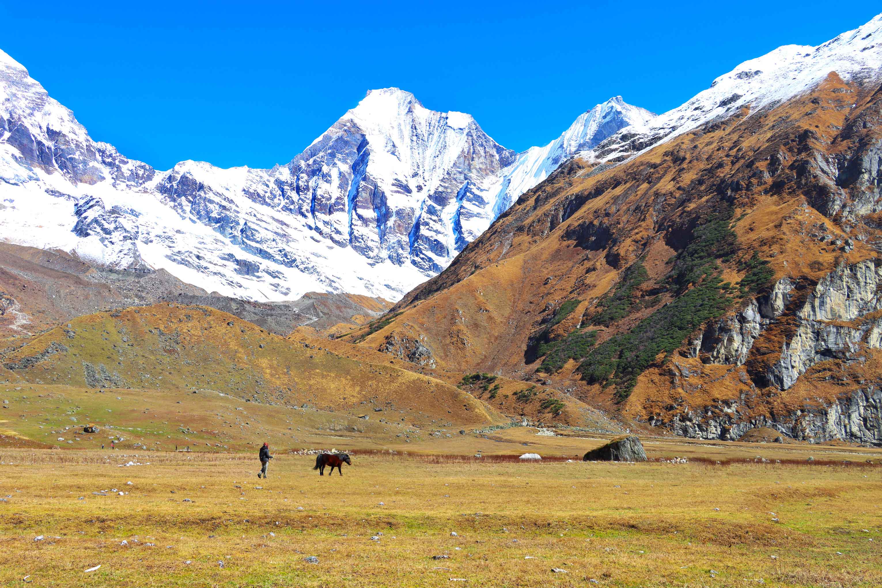 Nampa-Himal-1755069742.jpg