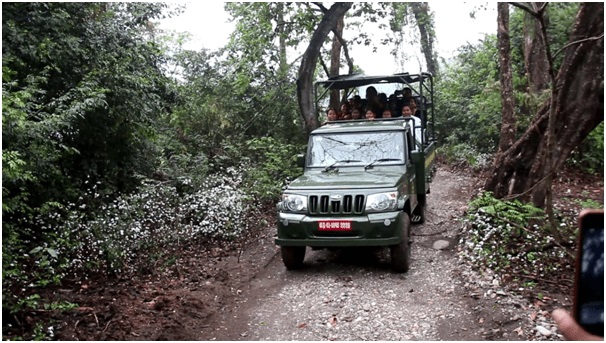 चितवन राष्ट्रिय निकुञ्जमा हालसम्मकै धेरै दुई लाख बढी पर्यटक भित्रिए