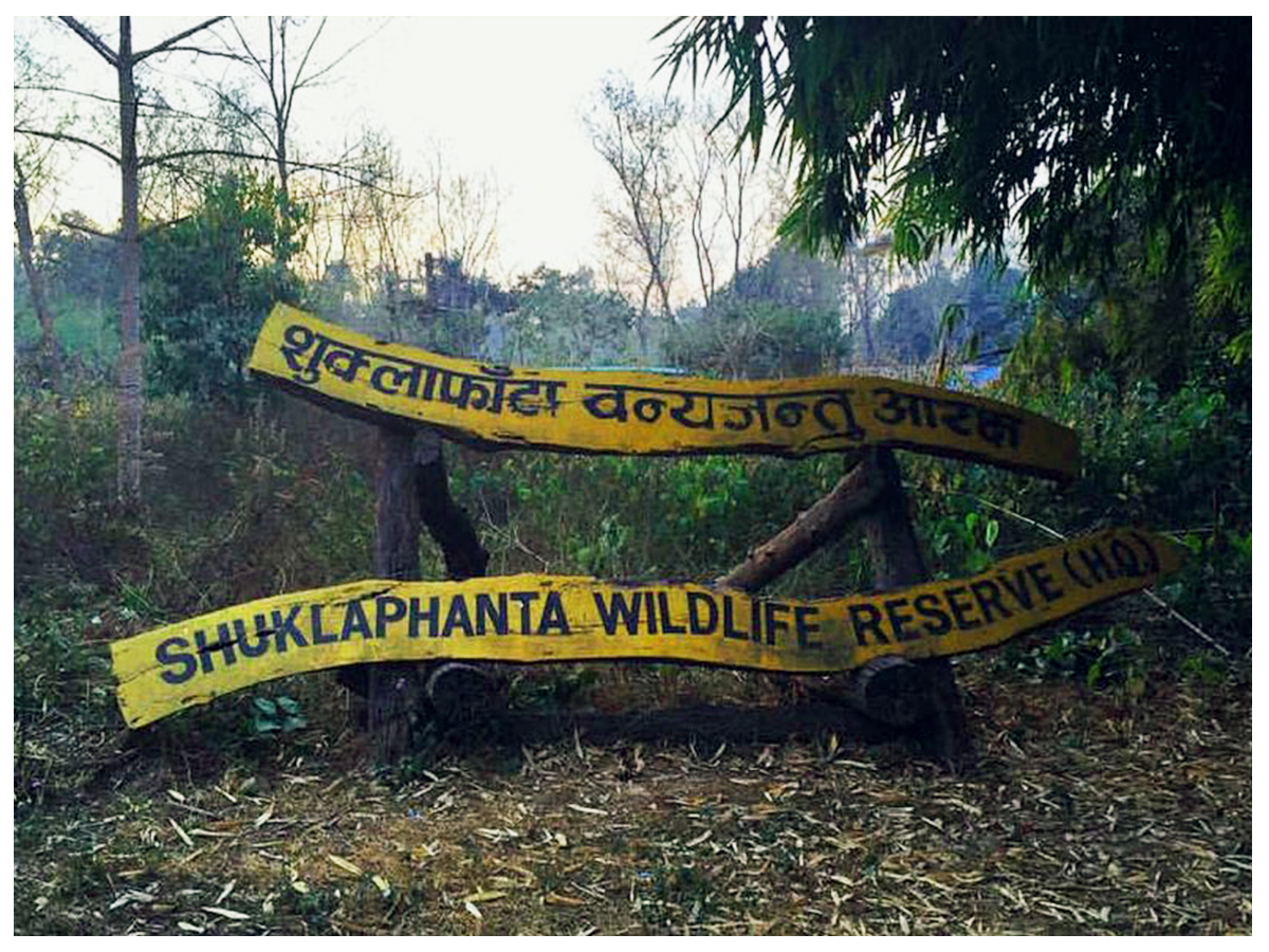 शुक्लाफाँटा क्षेत्रमा वन्यजन्तुको चोरी सिकार बढ्दै