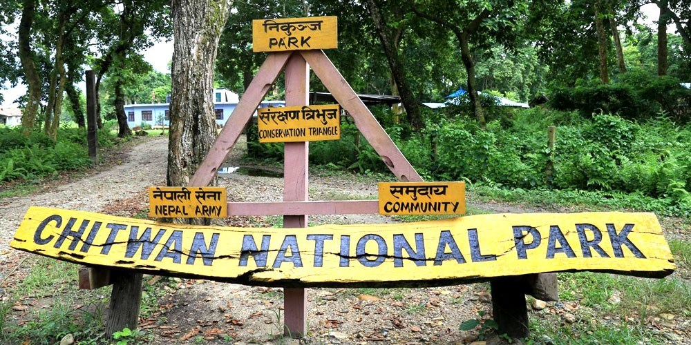 दशैंअघि जीप सफारी खुलाउने तयारीमा चितवन निकुञ्ज, सडक मर्मत सुरु