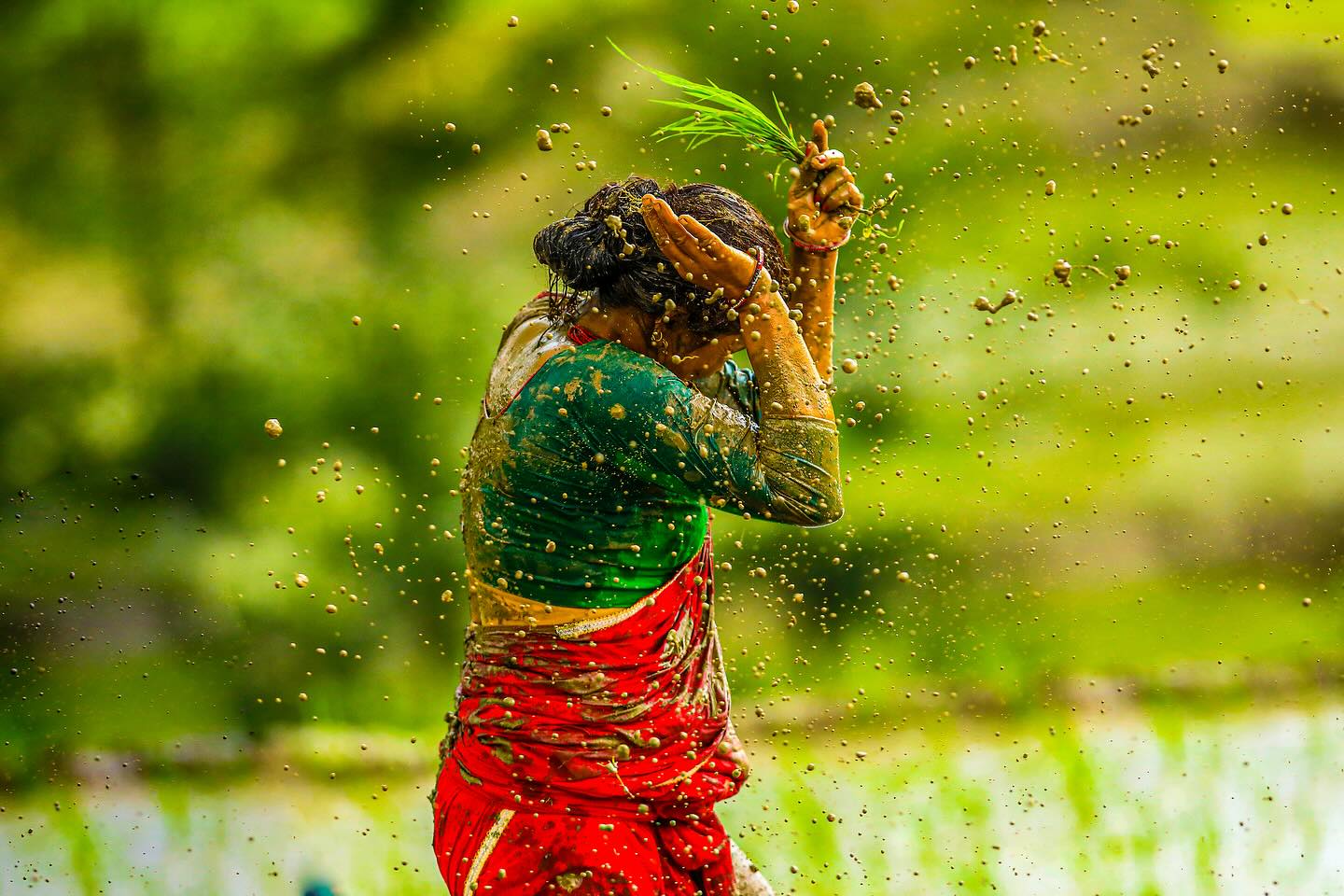 dhan-diwas-photo-feature--2-1751187401.jpg