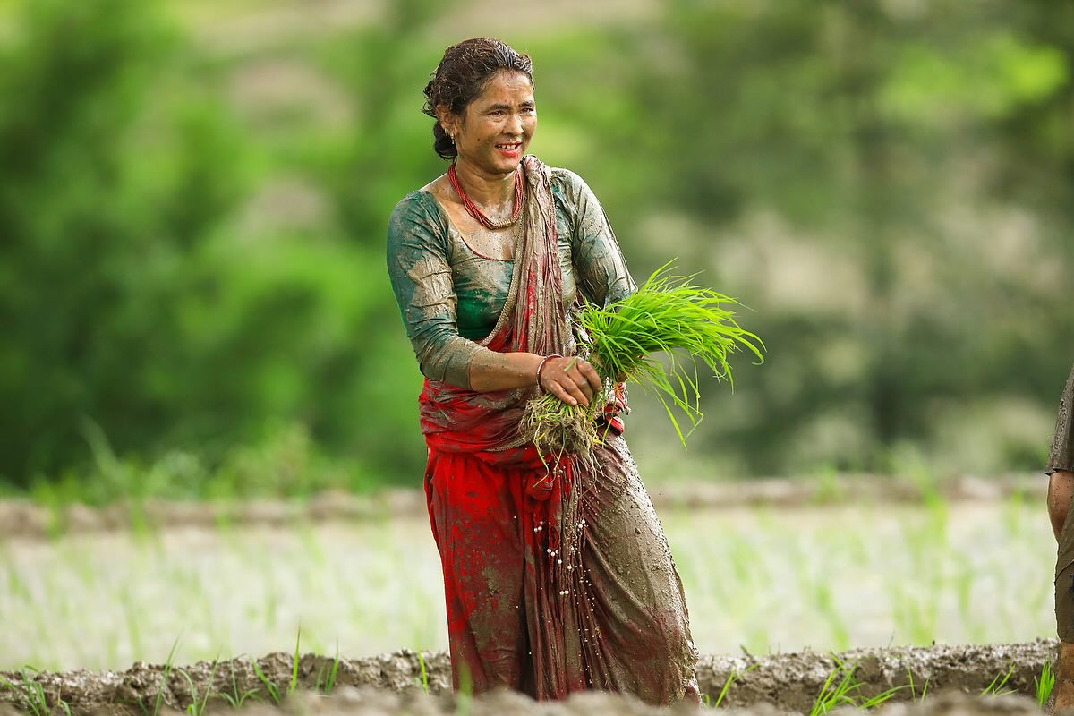 dhan-diwas-photo-feature--6-1751187405.jpg
