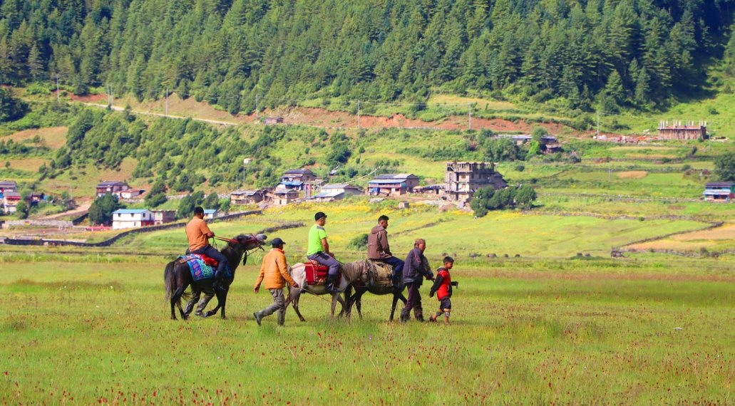 पर्यटक बढेसँगै घोडा व्यवसाय फस्टाउँदै