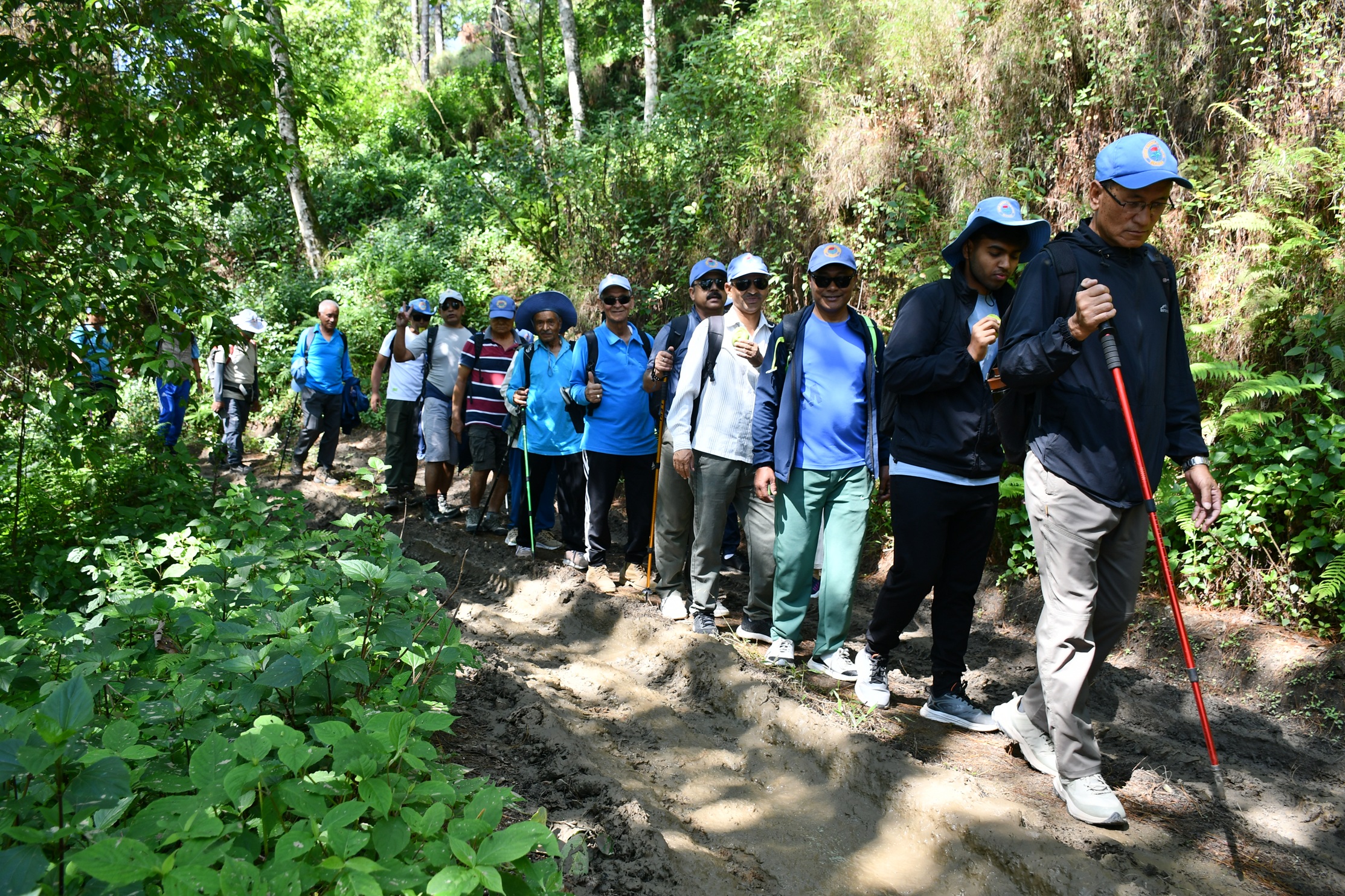 fungfung-jharana--(27)-1749376366.JPG