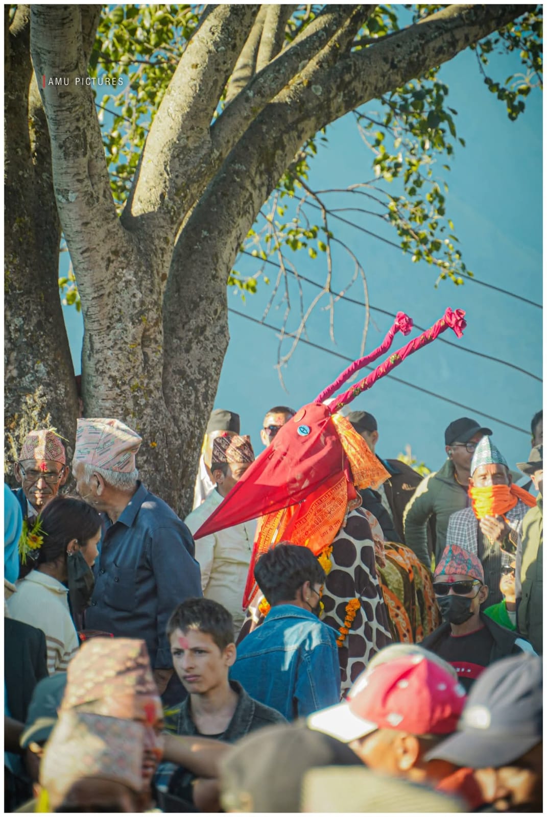 harin-jatra-(7)-1793006912.jpg
