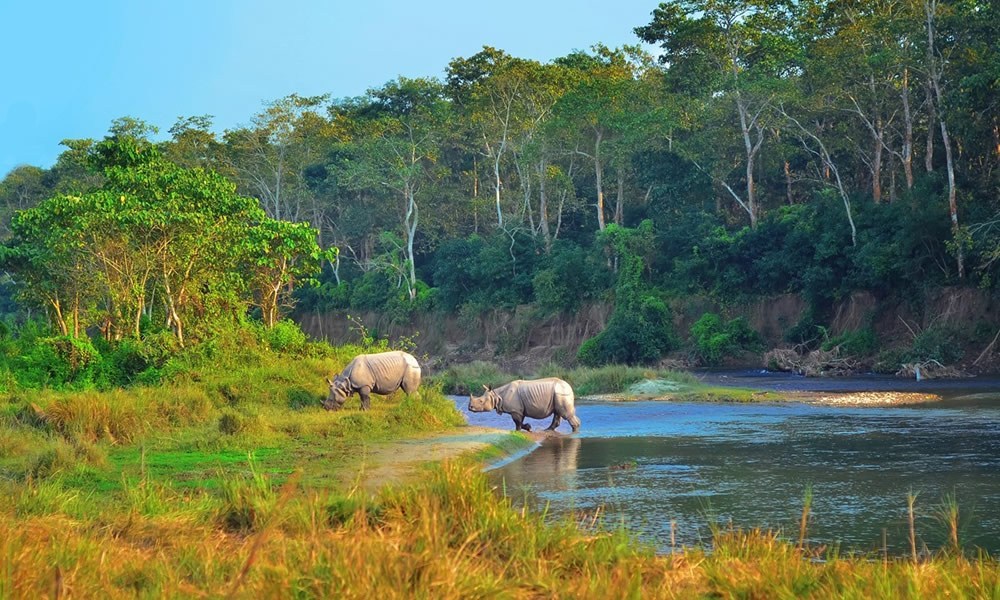 सौराहामा पर्यटक कम आए