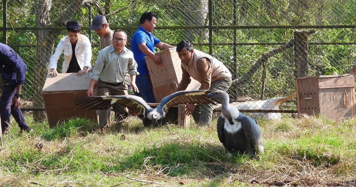 अध्ययन केन्द्र बन्दै जटायु रेष्टुरेन्ट