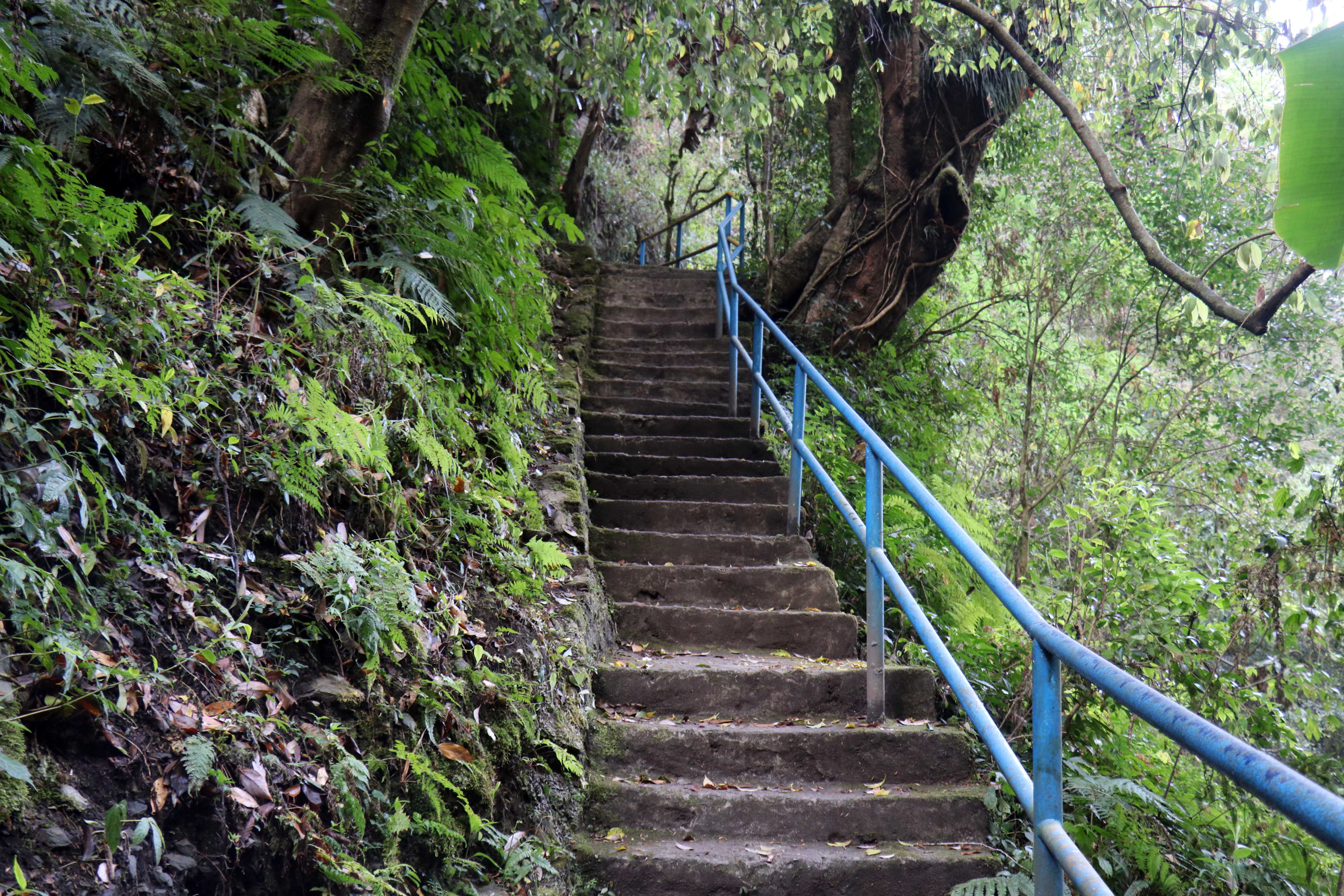 jireshwar-mahadev--11-1745477777.jpg