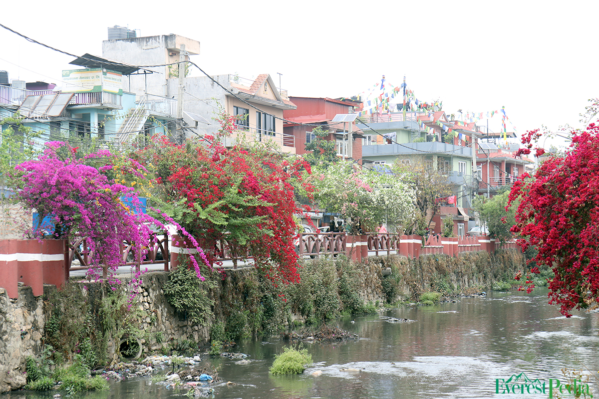 ktm-flower--15-1744271147.jpg