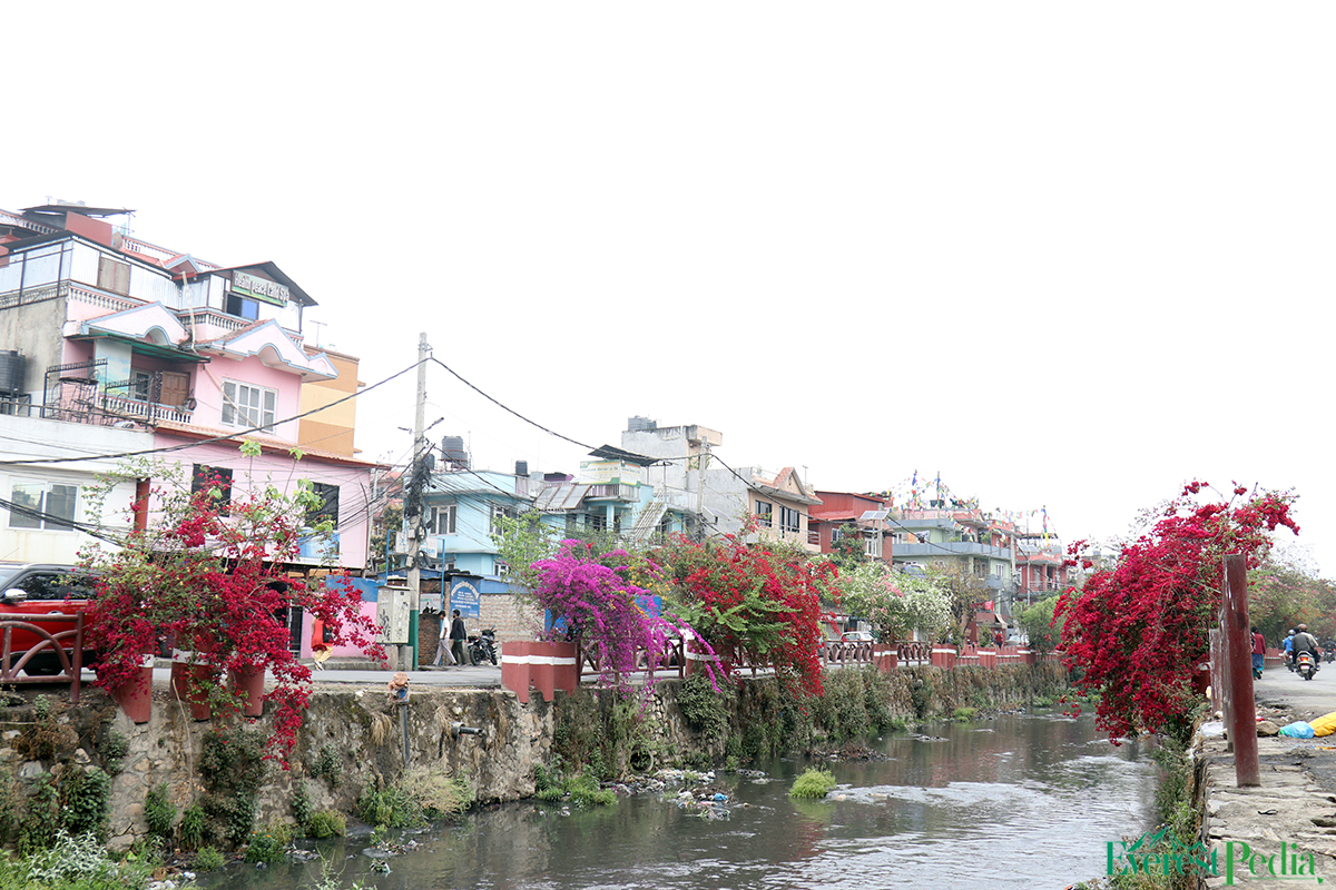 ktm-flower--16-1744271145.jpg